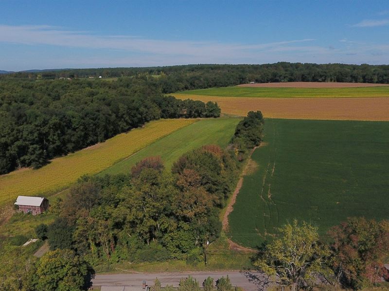 80.2+/ Acres Preserved Farmland Farm Auction in Alexandria