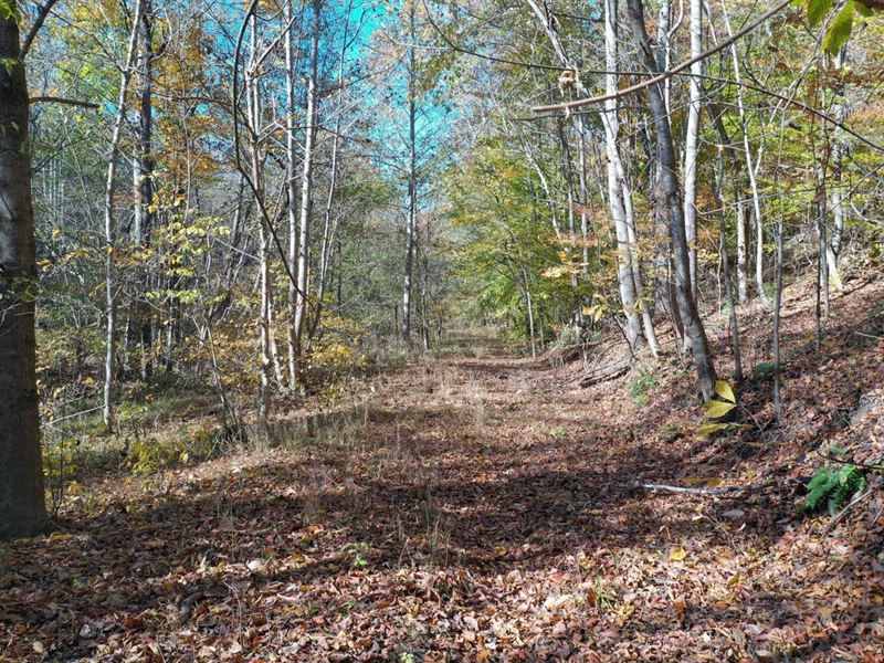 281 Recreational Acres in MT Pleasa : Mount Pleasant : Maury County : Tennessee