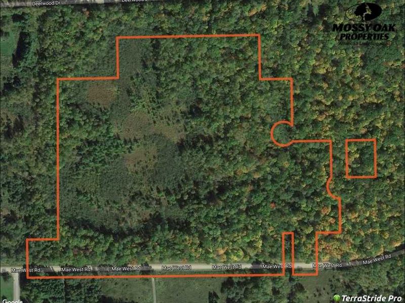 25 Acres of Buildable Hunting Land Farm for Sale in Ladysmith, Rusk
