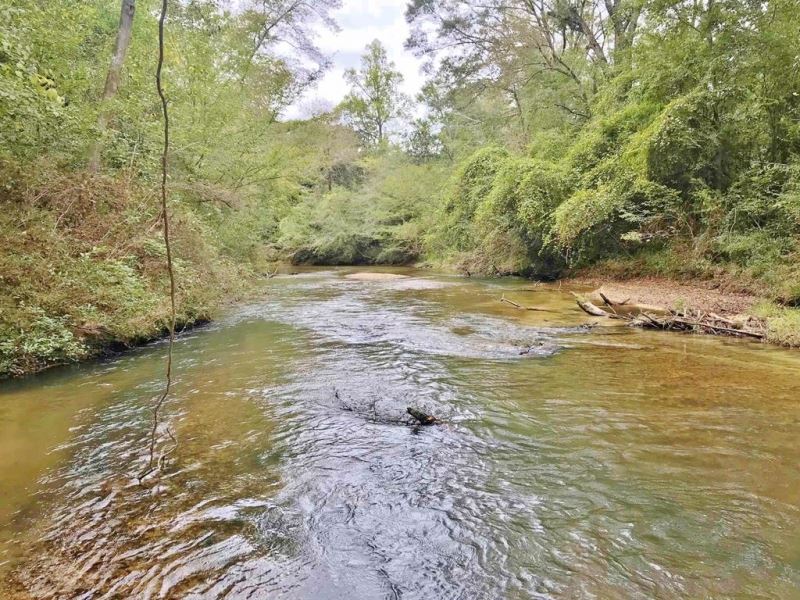 Waterfront Hunting Timber Property : McComb : Pike County : Mississippi