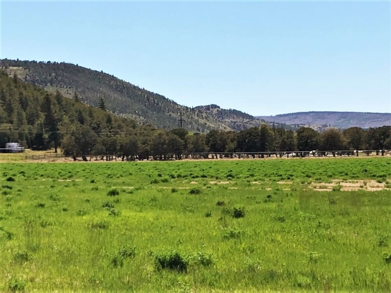 Mountain Acreage with Water, Farm for Sale in Colorado, 136404 FARMFLIP