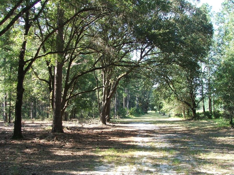 Historic Belfair Plantation, Farm for Sale in 136413 FARMFLIP