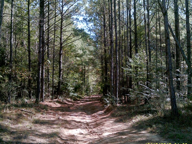 Monterey Road : Florence : Rankin County : Mississippi