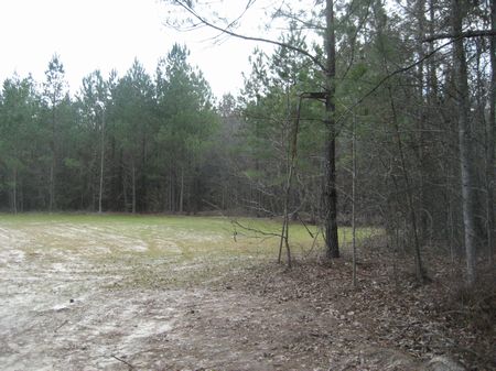 102 Acres Hunting Property : Jeffersonville : Twiggs County : Georgia