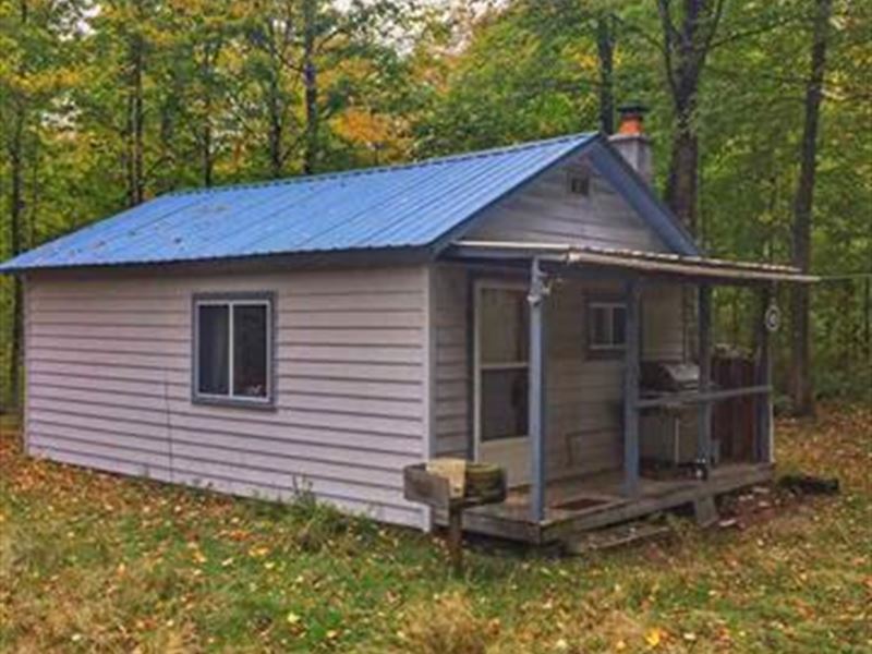 Wolf Lake Rd Cabin Farm for Sale in Champion, Marquette County