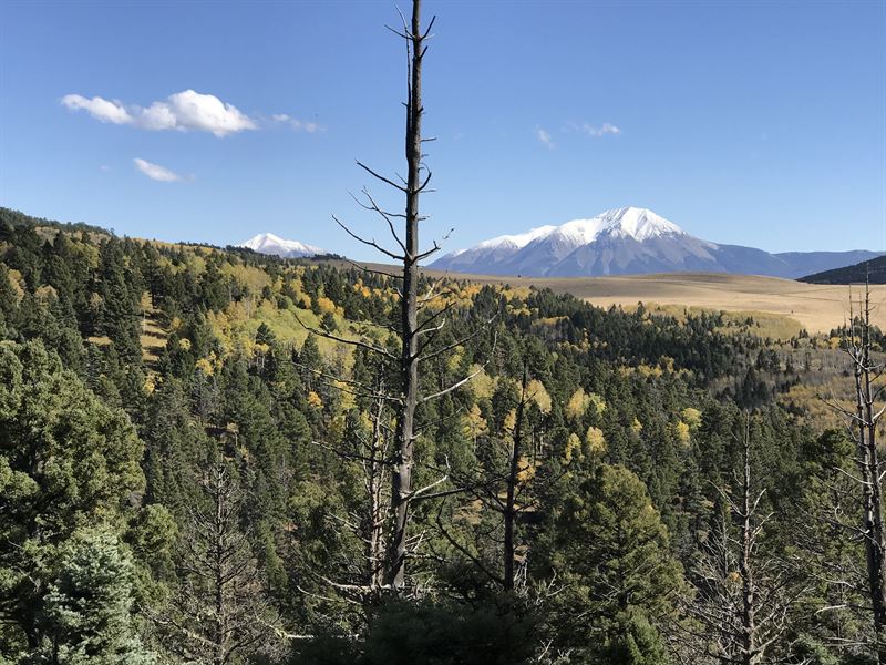 Forbes Wagon Creek Ranch Lot 452, Farm for Sale in Colorado, 136703