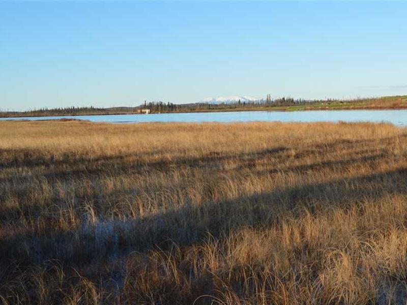 5.32 Waterfront Acres on Bolo Lake : Wasilla : Matanuska-Susitna Borough : Alaska