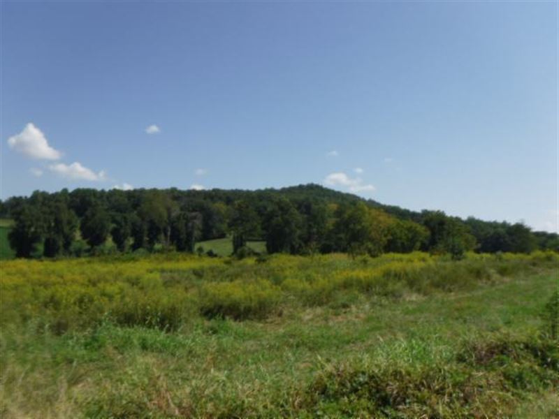 6.16 Ac Totally Open Pasture, Level : Sparta : White County : Tennessee