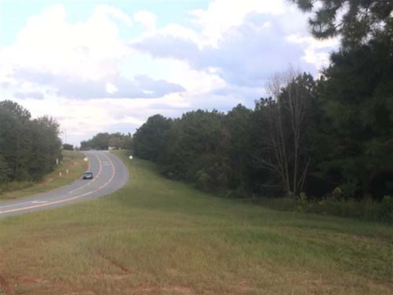 Residential Land, Warner Robins, Ga, Farm Auction in 136980