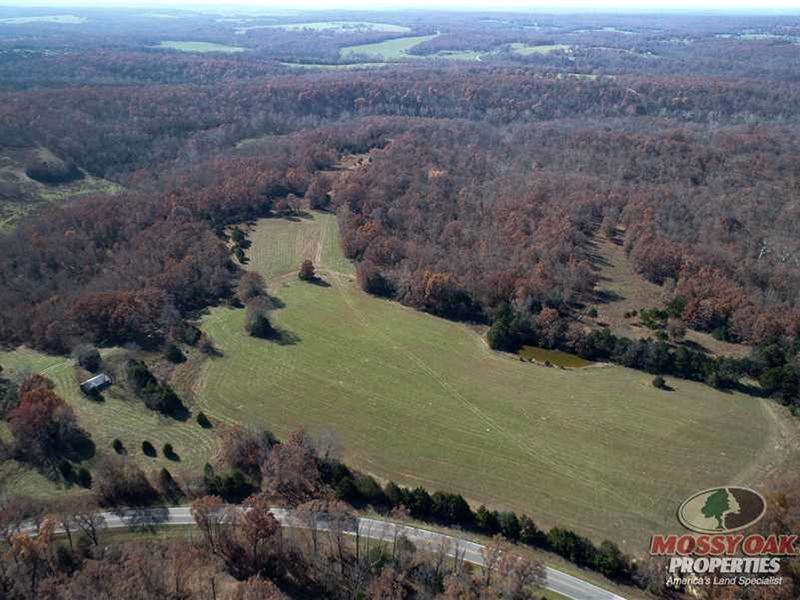 Reduced, 118 Acres in Long Lane, : Long Lane : Dallas County : Missouri