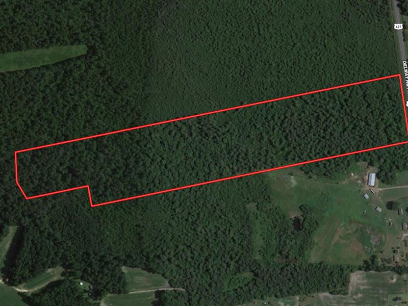 40 Acres in Rose Hill, North Carolina, Farm for Sale in North Carolina