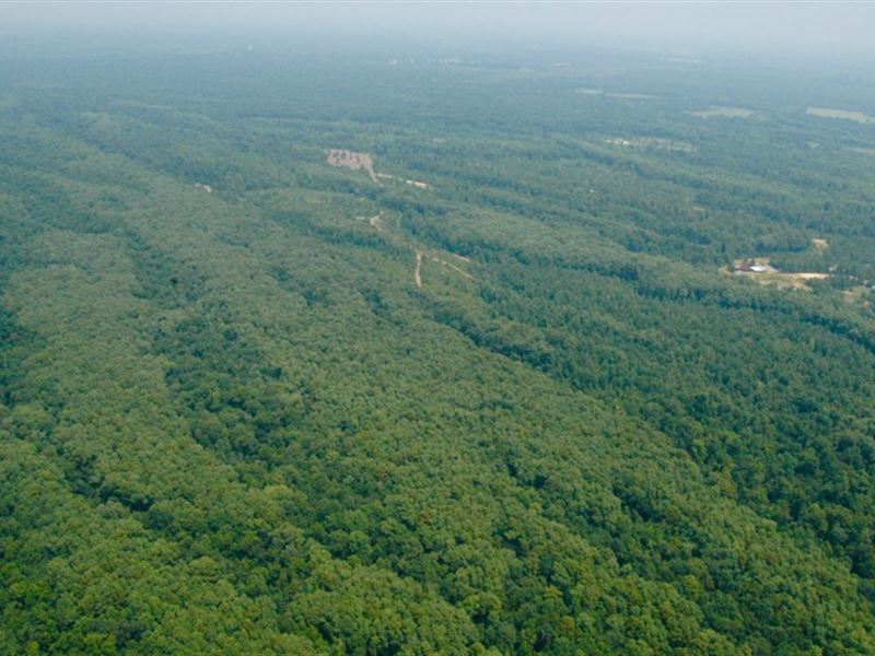 Fractional Ownership Hunting Mecca : Marion : Marion County : South Carolina