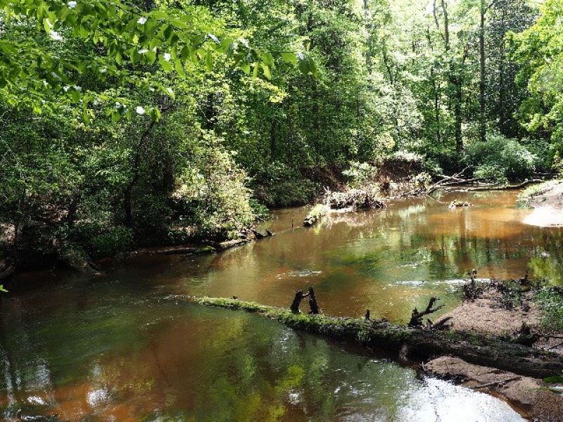 Hunting and Timberland Magnolia, Ms : Magnolia : Pike County : Mississippi