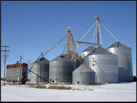 Farmland, Grain Storage, Feedlot : Tribune : Greeley County : Kansas