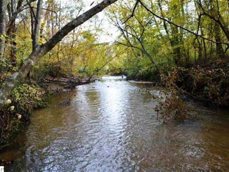 Black Walnut Grove : Fountain Inn : Laurens County : South Carolina