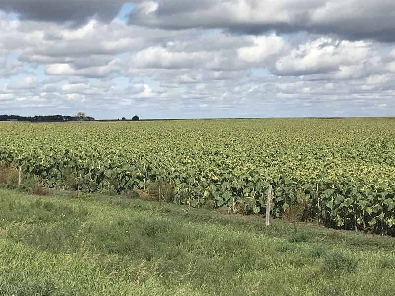 Farm & Ranch Land 640 Acres Farm for Sale in Faulkton, Faulk County