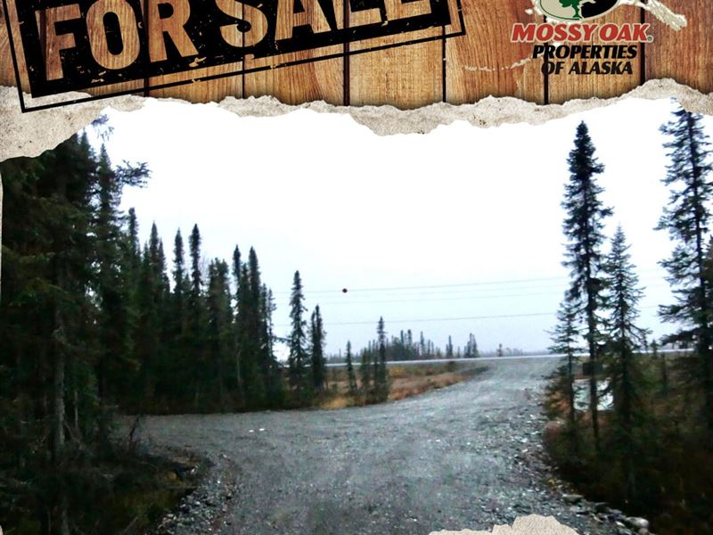Willow Land with Driveway on Railro : Willow : Matanuska-Susitna Borough : Alaska