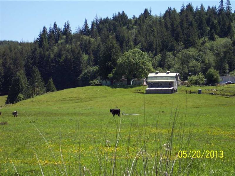 Sumner Rd Ranch Farm for Sale in Coos Bay, Coos County, Oregon