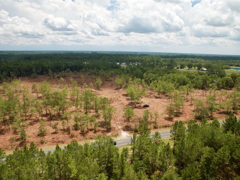 Investment Tract Near Ft Stewart : Ludowici : Long County : Georgia