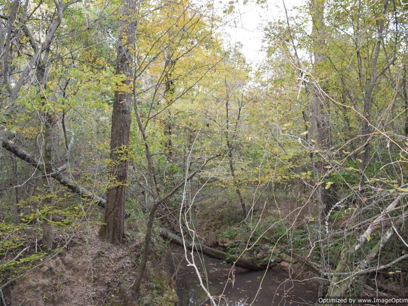 Secluded Hunting Tract : Morton : Smith County : Mississippi