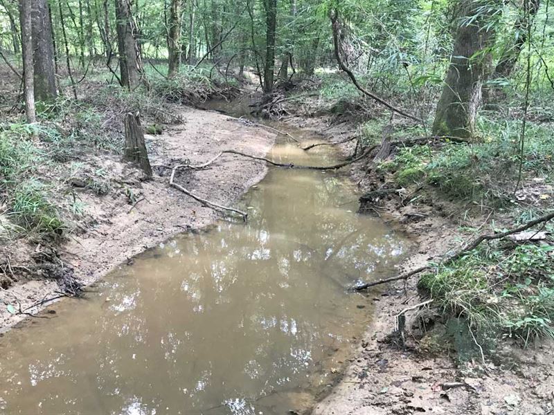 Off The Grid Twenty : Banks : Bullock County : Alabama