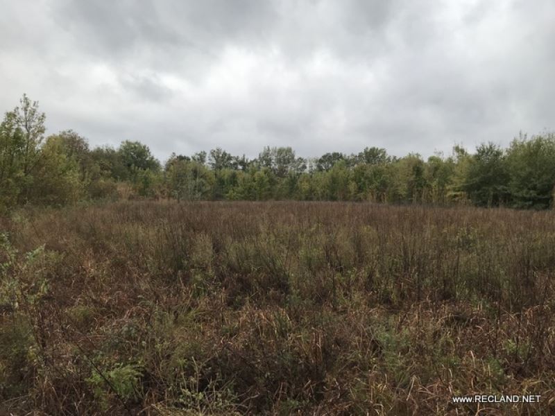 146 Ac, Wrp & Crp Hunting Trac : Lake Providence : East Carroll Parish : Louisiana