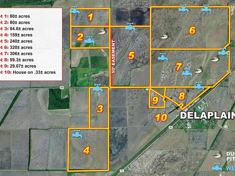 1358 Acre Productive Rice Farm : Delaplaine : Greene County : Arkansas