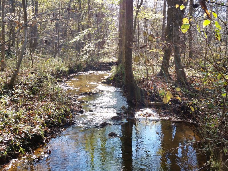 12+/ Acres National Forest Farm for Sale in Ashland, Clay County, Alabama 138152 FARMFLIP