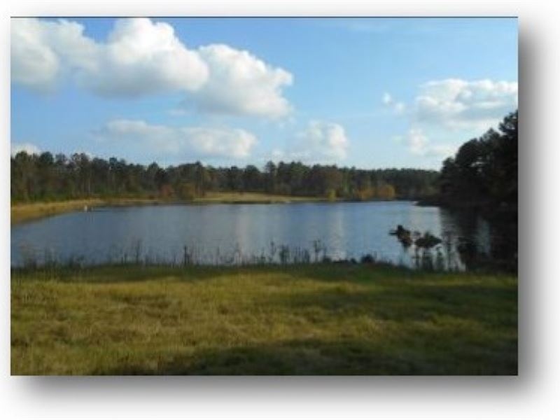 45 Acres Out Of Springwater Ranch : Brandon : Rankin County : Mississippi
