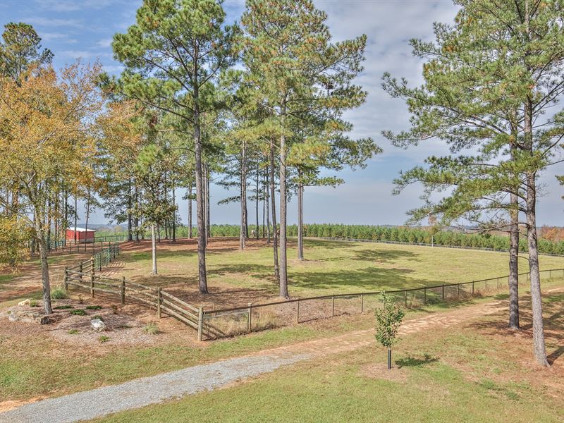 Rocky Ridge Farms : Eatonton : Putnam County : Georgia