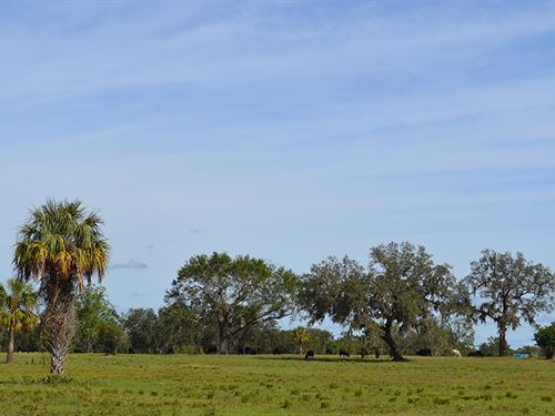 Highway 17 Ranch : Arcadia : DeSoto County : Florida