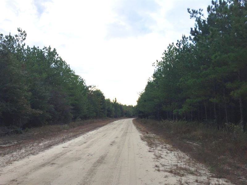 Pine Level Tract Farm for Sale in Troy, Pike County, Alabama