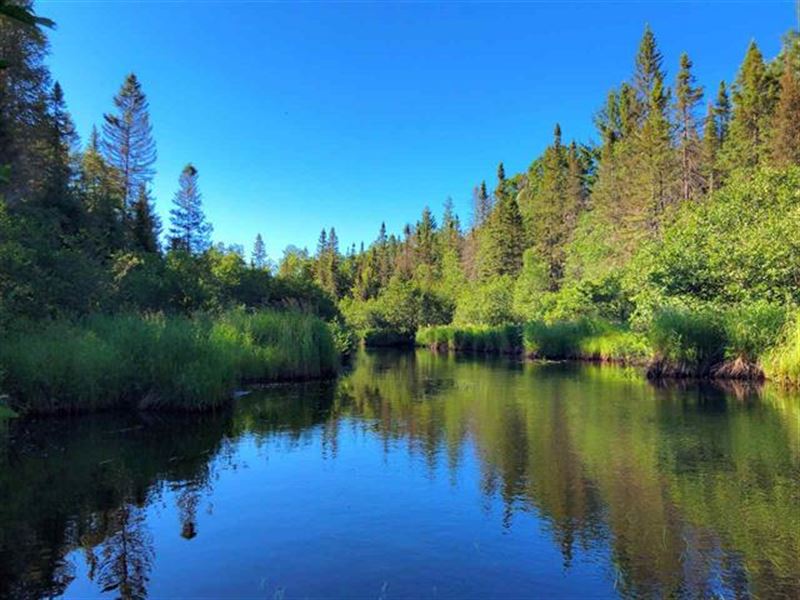 Mitchigan River Wonder 1105620 Farm for Sale in Republic, Iron County