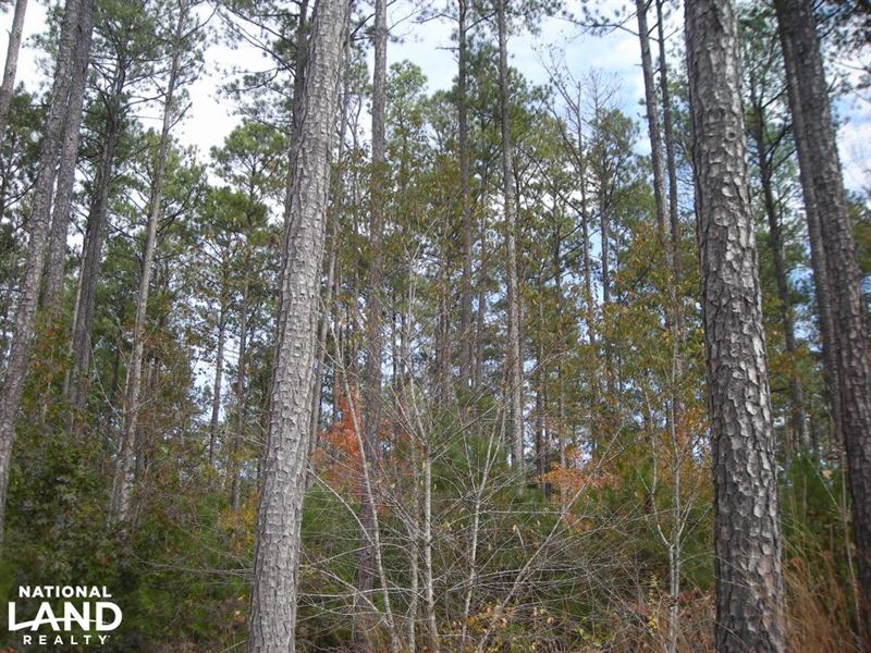Judd Road Timber Tract 32 Acres, Farm for Sale in 138734