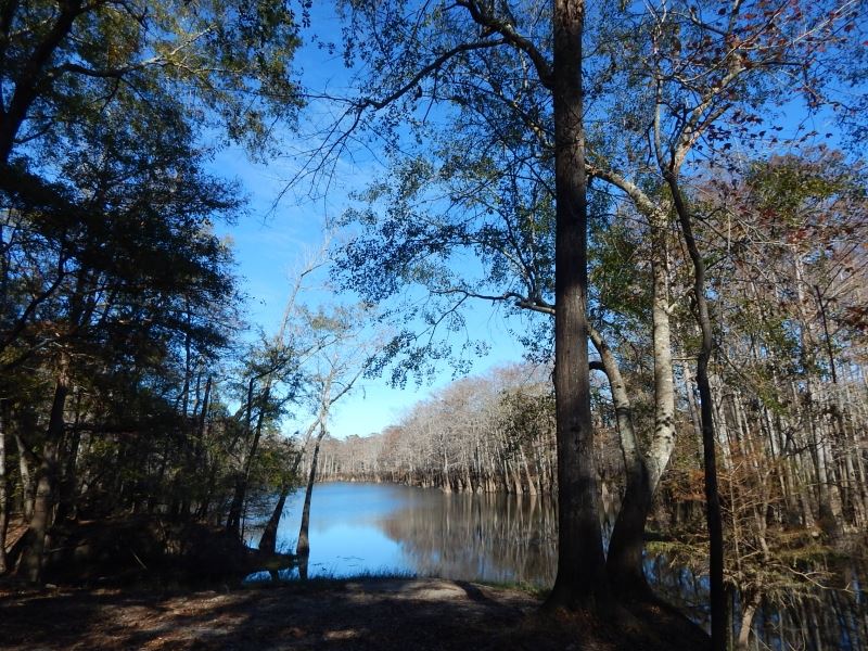 The Great Outdoors : Sandy Hook : Marion County : Mississippi