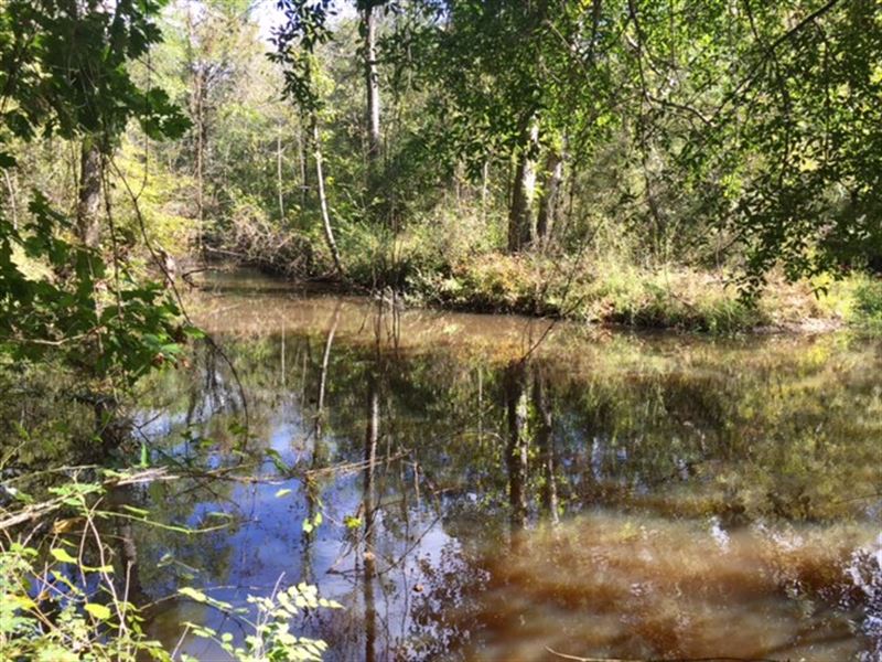 Ohoopee River Hardwoods, Farm for Sale in 138951 FARMFLIP