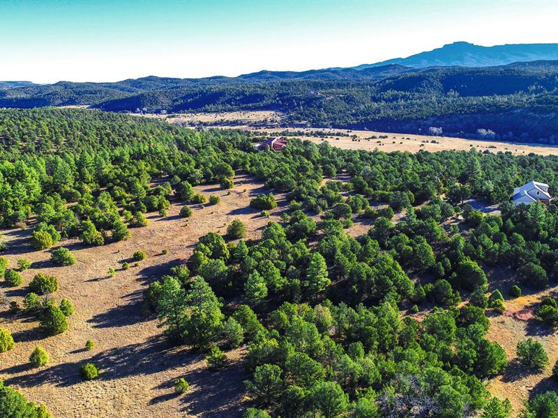 Wooded Homesite Near Trinidad Lake : Trinidad : Las Animas County : Colorado