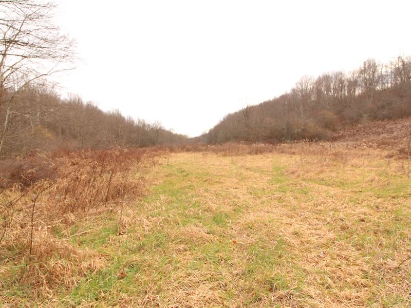 Toker Rd, 63 Acres : Hopedale : Harrison County : Ohio
