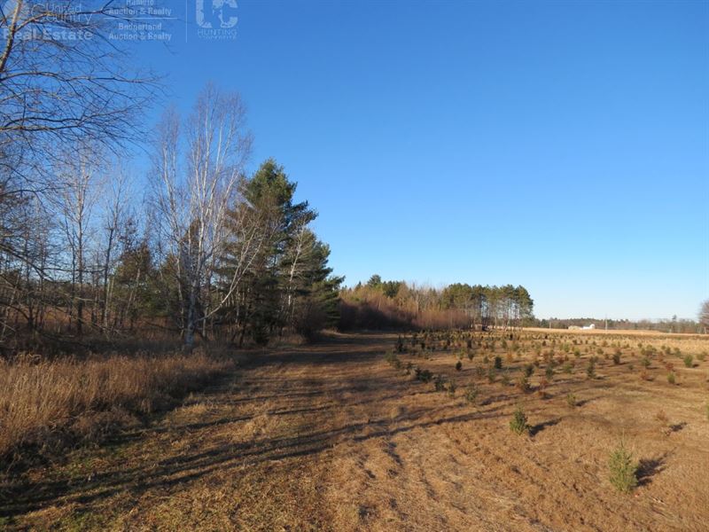 Professionally Developed Hunting : Bevent : Marathon County : Wisconsin