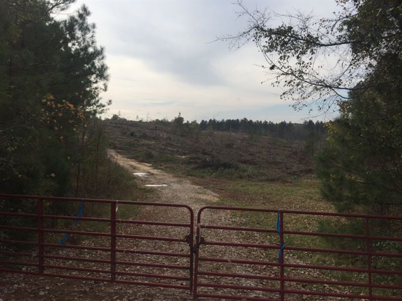 190.79 Acres in Chester, SC : Chester : Chester County : South Carolina