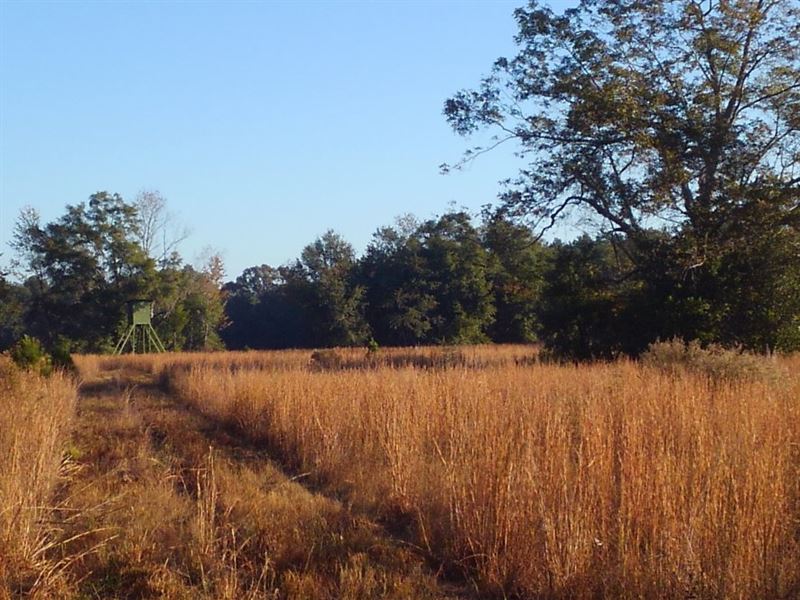Kirkland Farm Farm for Sale in Malone, Jackson County, Florida
