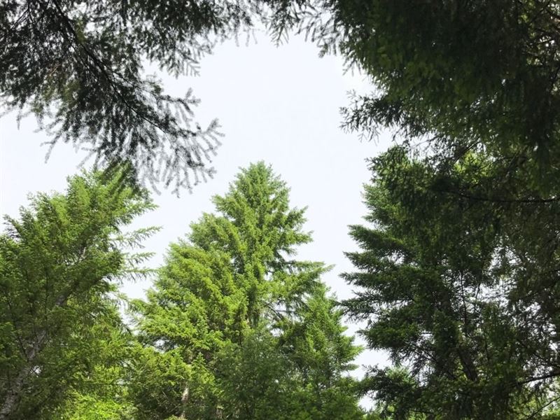 2,588.74 Acres in Mehama, OR, Farm for Sale in Oregon, 139246 FARMFLIP