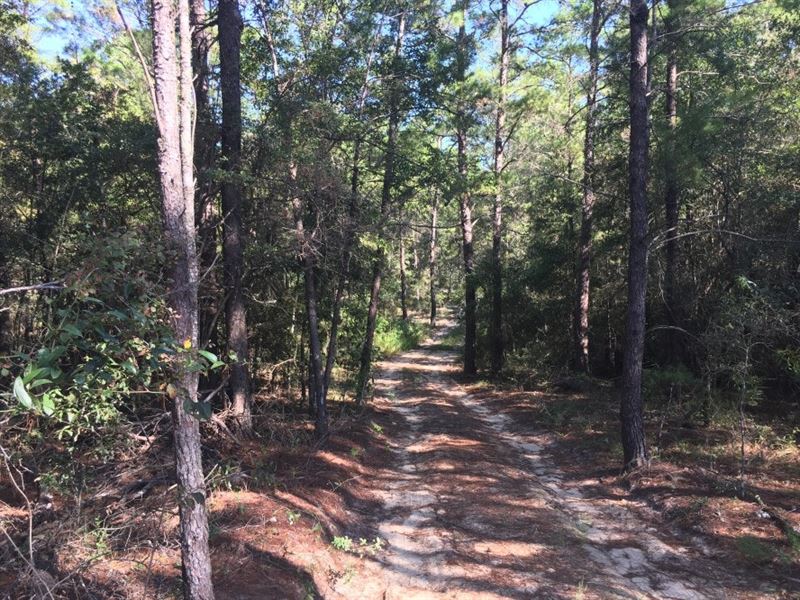 Holmes Valley 200 : Vernon : Washington County : Florida