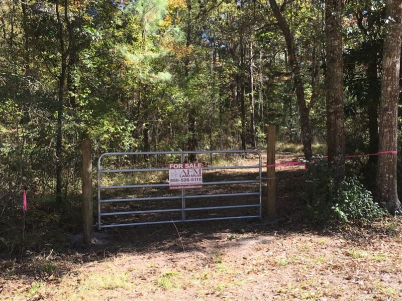 Lake Seminole, Farm for Sale in 139419 FARMFLIP