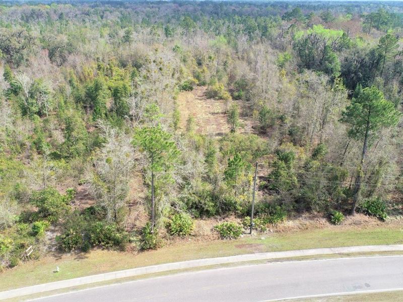7.5 Acres Land For Sale Kingslan : Kingsland : Camden County : Georgia