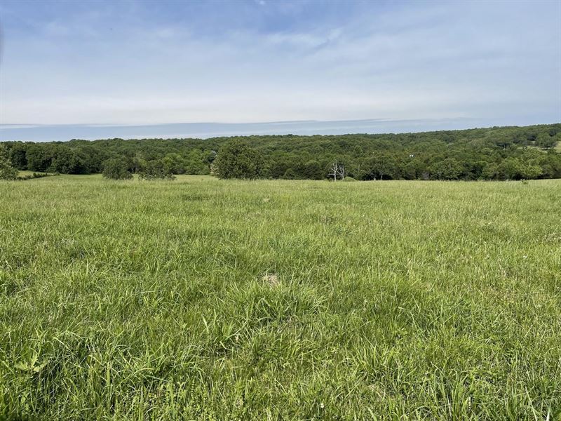 352 Acre Cattle Farm : Falcon : Laclede County : Missouri