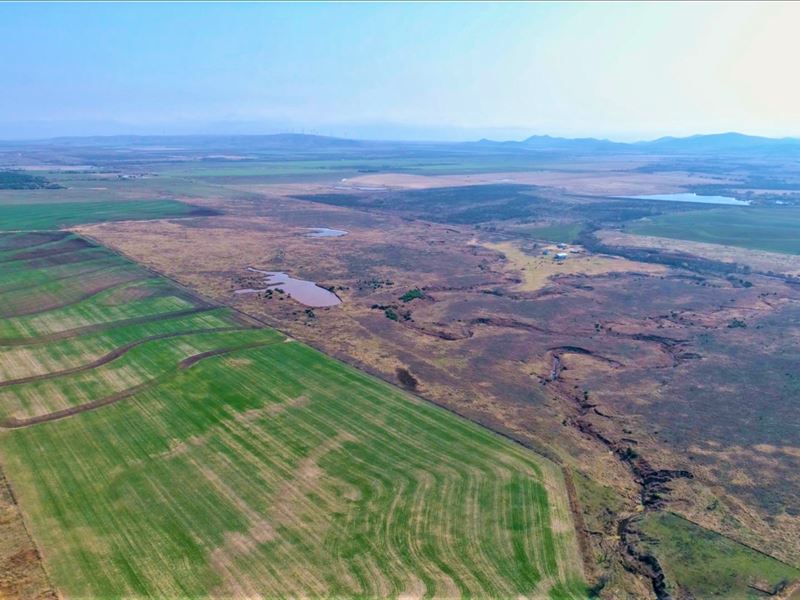 Oklahoma Hunting Land For Sale Farm Auction in Carnegie, Caddo County