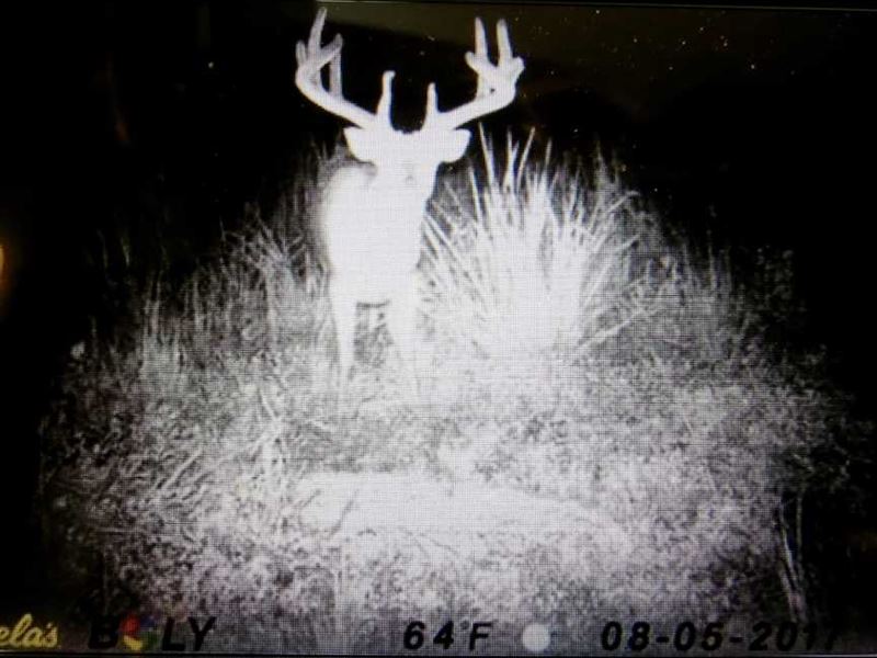 400 Acre Hunting Paradise Wit : Lawrence : Douglas County : Kansas