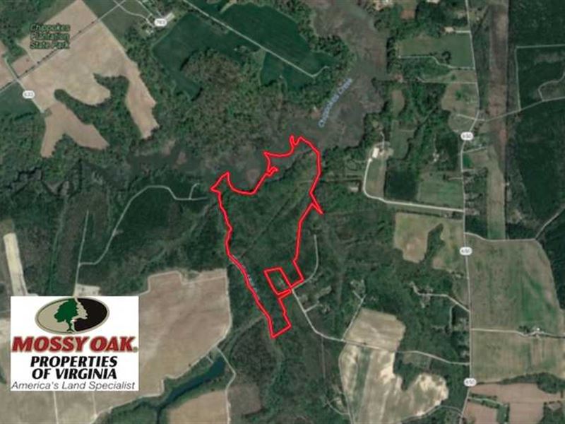 99 Acres of Waterfront Timber Land, Farm for Sale in Virginia, 139880