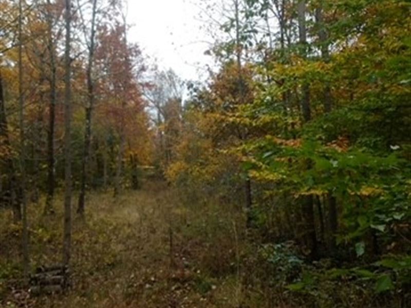 Recreational / Hunting Land : Philo : Muskingum County : Ohio
